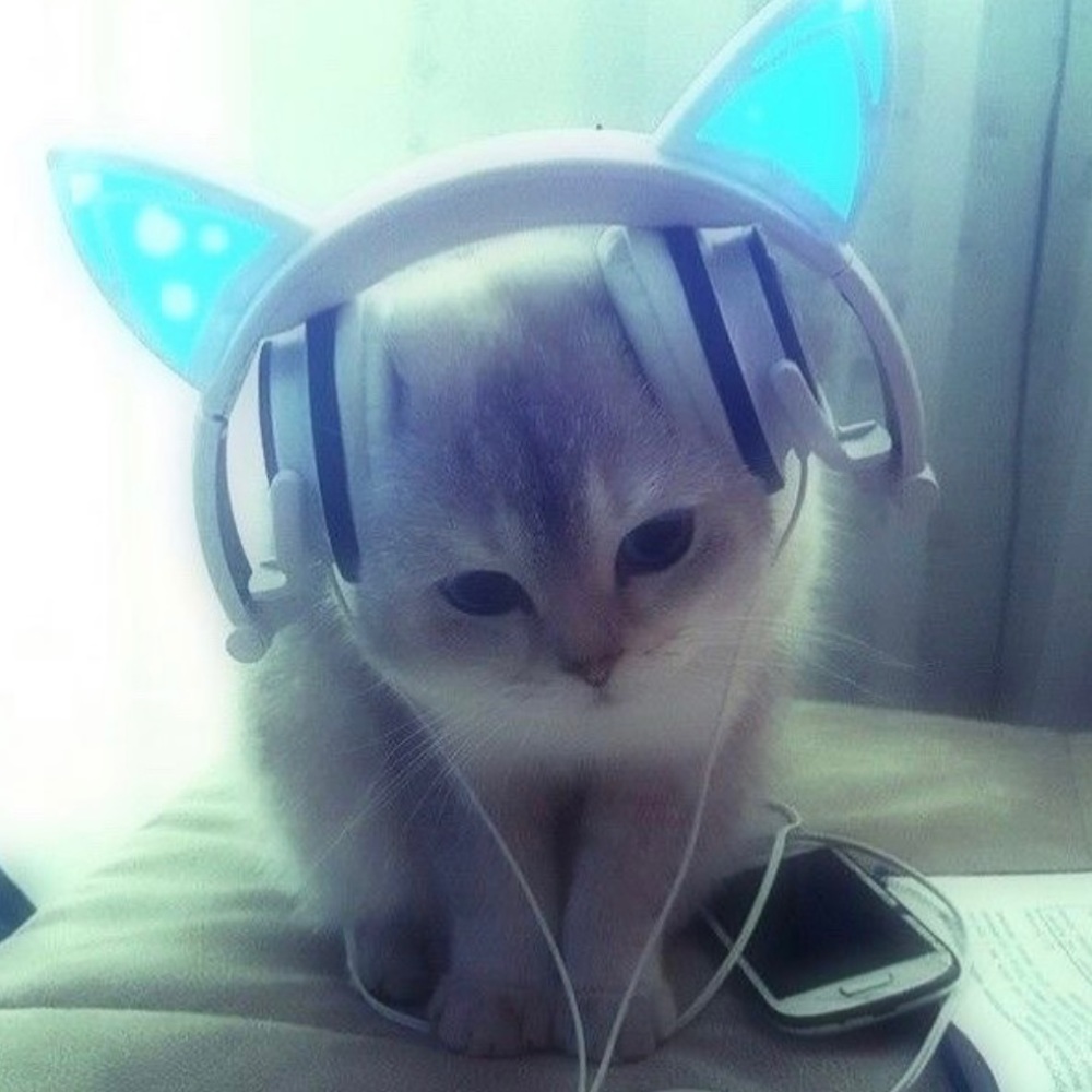 Meet your Posher, Noelia